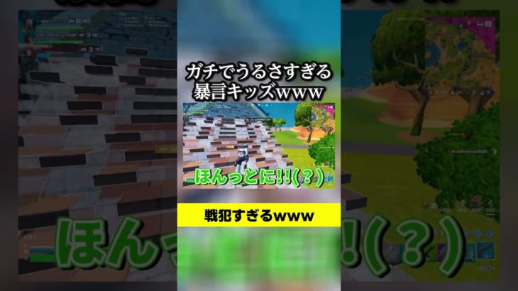 ガチでうるさすぎる暴言キッズｗｗｗ #フォートナイト#暴言キッズ #発狂  #fortnite