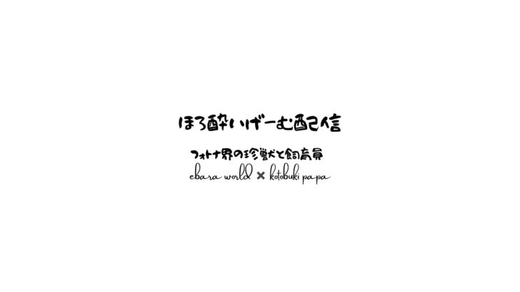 ピパおめでとうwin(*^*)勝手に配信()フォートナイト参加型　初心者　初見　歓迎型　概要欄血眼