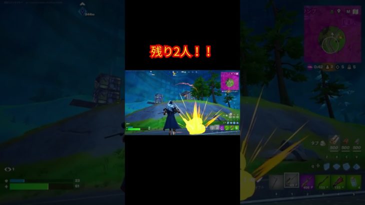 残り2人！！【フォートナイト/Fortnite】