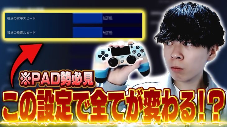 【最新版】3年ぶりに最強PADプロの設定を公開します…【フォートナイト/Fortnite】