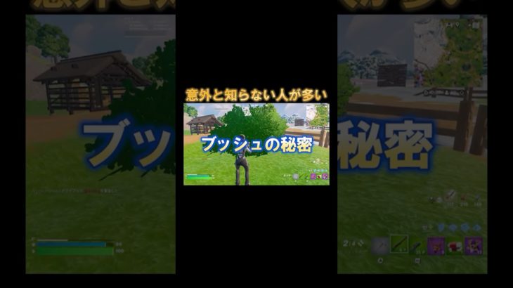 意外と知らないブッシュの秘密！【フォートナイト/Fortnite】