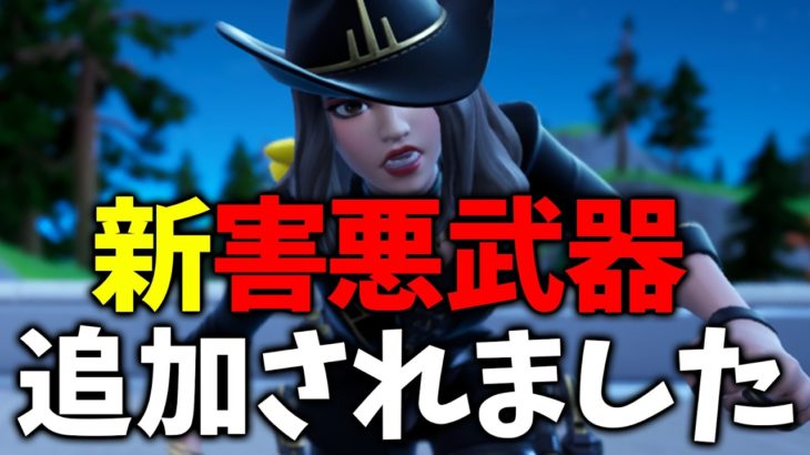 また厄介すぎる武器が追加された…アプデ情報まとめ！【フォートナイト/Fortnite】