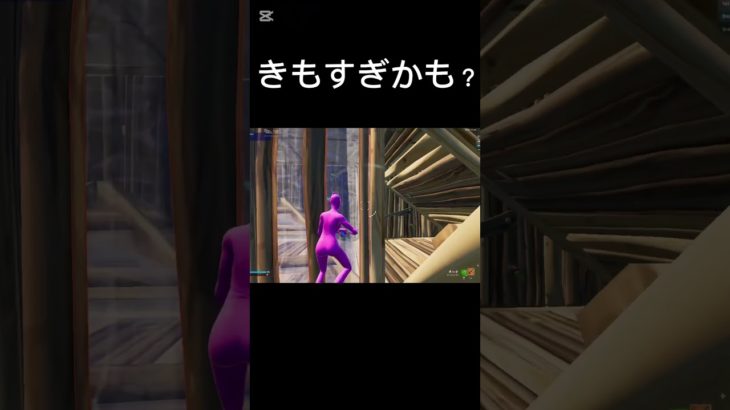 【フォートナイト】鳥いた？？#フォートナイト#fortnite #shorts