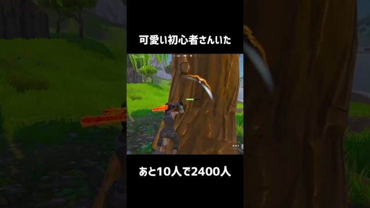 可愛い初心者さんいた【フォートナイト】#フォートナイト #fortnite #shorts