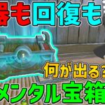 【フォートナイト】武器も回復もエレメンタル宝箱から手に入れたアイテムしか使えない縛りに挑戦！はたしてビクロイできるのか！？【ゆっくり実況】