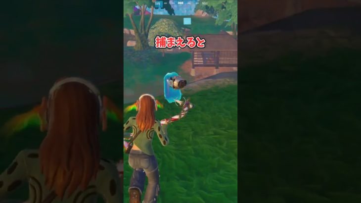 【フォートナイト検証】この世に絶対はありません！！(多分)【フォートナイト/Fortnite】【ゆっくり茶番】