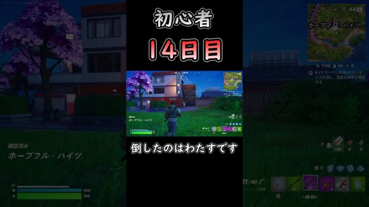 ええ、倒したのはわたすです #フォートナイト #fortnite #初心者 #14日目