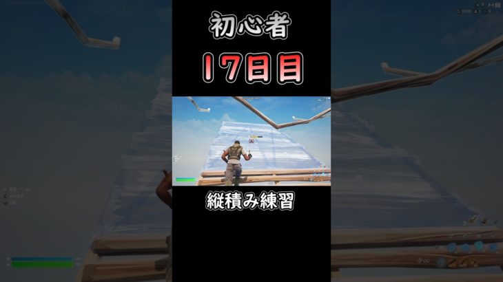 縦積み練習(回数なんて数えられないよ!) #フォートナイト #fortnite #初心者 #17日目