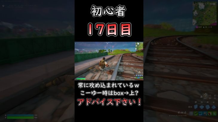 練習と実戦は大きく異なる… #フォートナイト #fortnite #初心者 #17日目