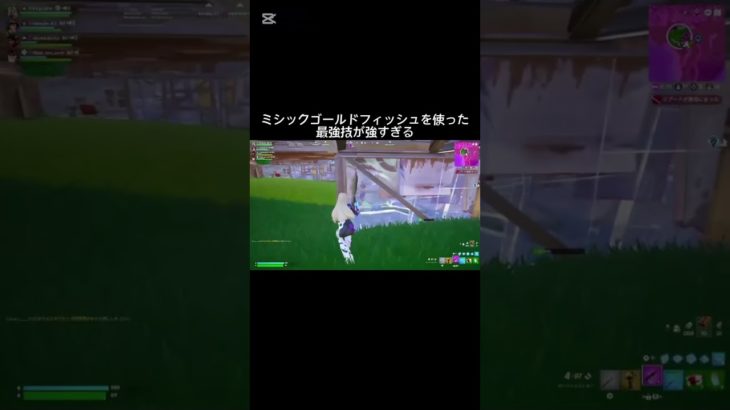 みんな知ってる？　#fortnite #フォートナイト #スイッチ #shorts