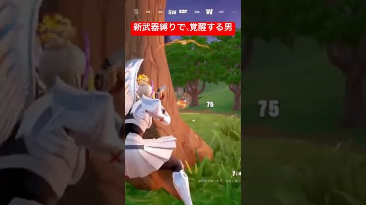 ＃shorts #short #フォートナイト #fortnite  #ゲーム実況 新武器縛りで、覚醒する男