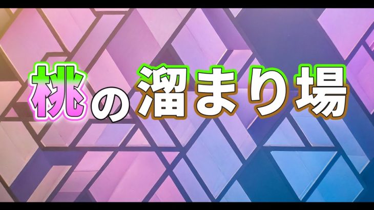 【Fortnite】初心者が逝く！フォートナイト配信（参加型）　急に配信落ちたらごめんよ～