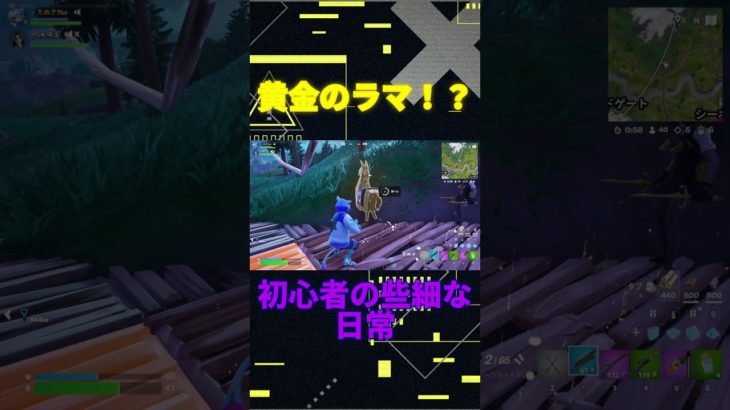 中身が思ってたんと違う…　[Fortnite]  #フォートナイト #fortnite　#チャプター6シーズン2　#初心者