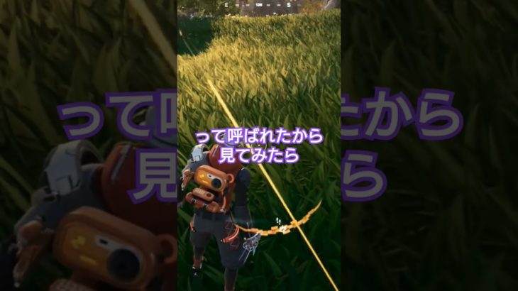 この時に呼ばれたから倒された。#フォートナイト #フォトナ #fortnite #ショート動画 #祖母