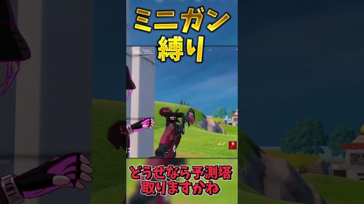 最強のミニガン縛りでビクロイせよ！！！【フォートナイト】 #フォートナイト #最新アプデ情報 #fortnite