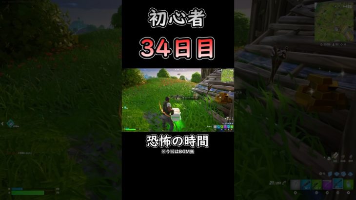 恐怖の時間 #フォートナイト #fortnite #初心者 #34日目