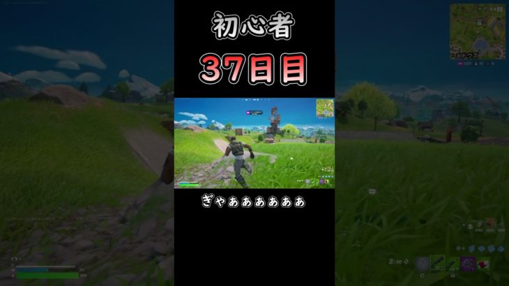 突っ込んでこなくても怖い #フォートナイト #fortnite #初心者 #37日目