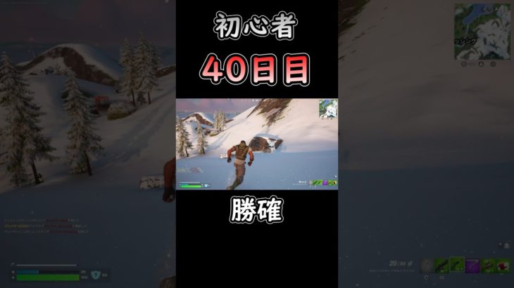 やっぱり山でバットは反則だよね… #フォートナイト #fortnite #初心者 #40日目