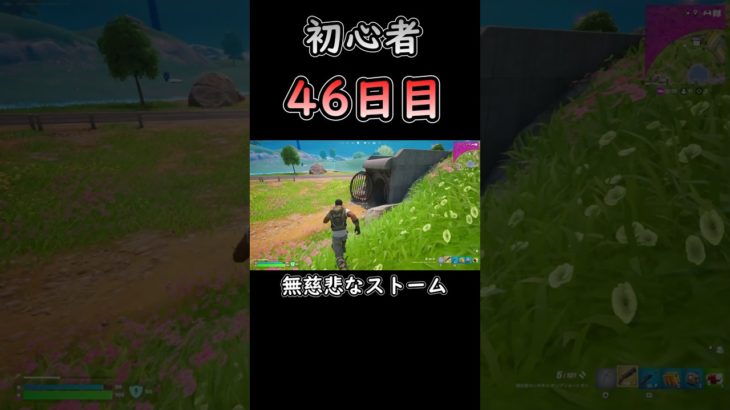 せっかくメダル取ったのに… #フォートナイト #fortnite #初心者 #46日目