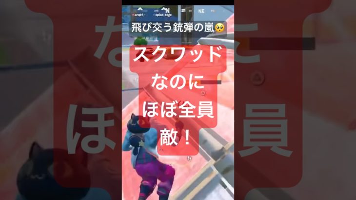 フォトナ配信(紳士の集い)切り抜き#フォートナイト #フォトナ #fortnite #おもしろ #リロード #スクワッド #リスナー参加型 #カスタムマッチ #裏切り #弾幕 #集中 #建築 #gg