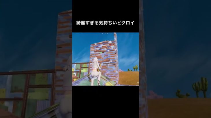 綺麗すぎる気持ちいビクロイ#フォートナイト #fortnite #shorts